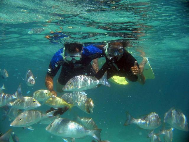 Snorkelling in Spangled Emporer infeasted waters! Snorkelling in Spangled Emporer infeasted waters!